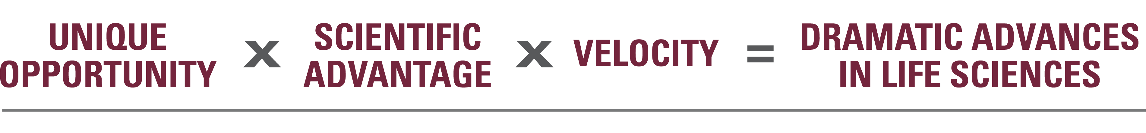 VelocityEquation